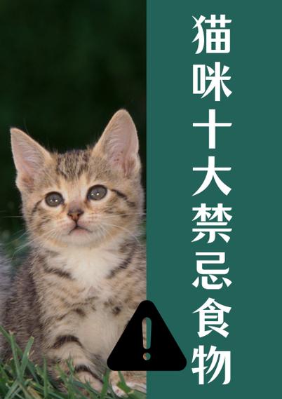 猫咪饮食禁忌截图