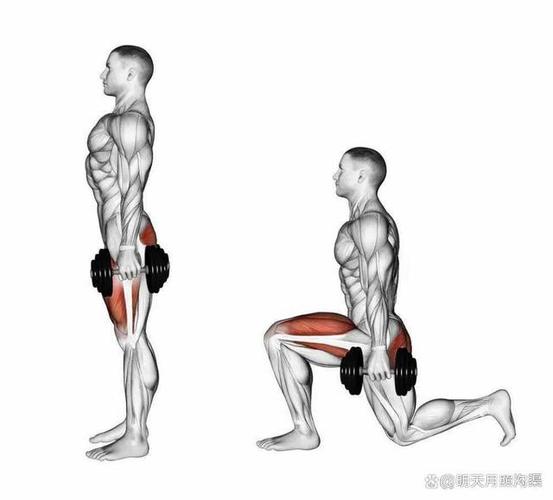 健身入门怎么开始