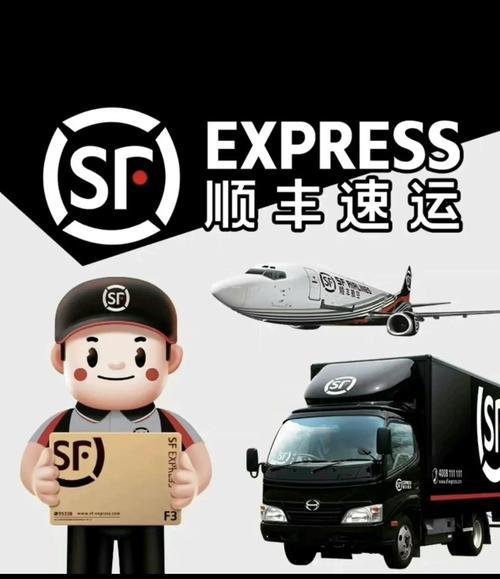 顺丰怎么寄乌龟