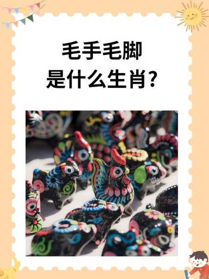 毛字代表什么生肖