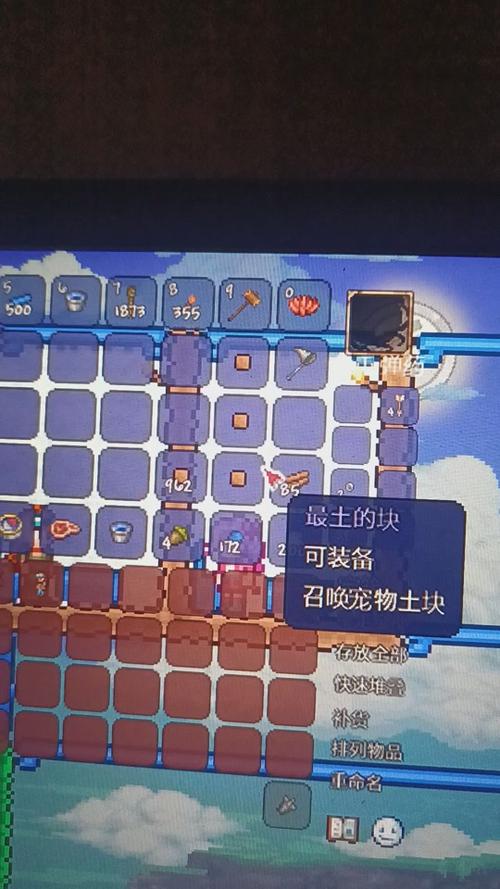 泰拉瑞亚宠物作用大全
