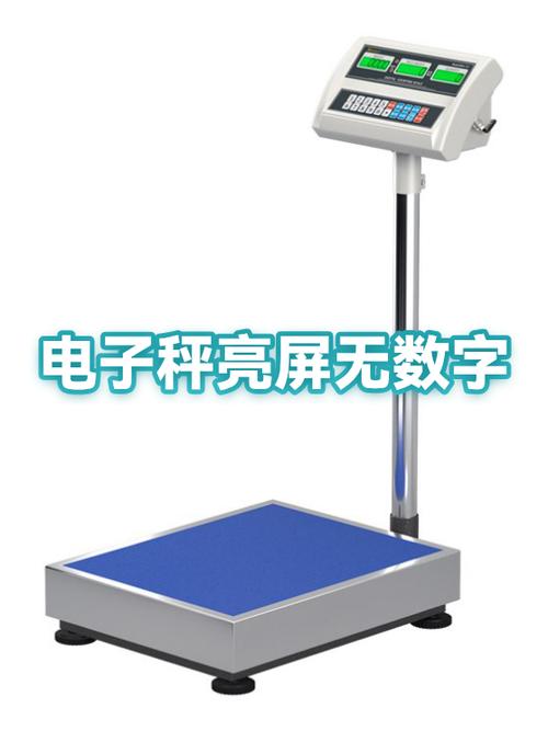 电子秤只亮不显示数字