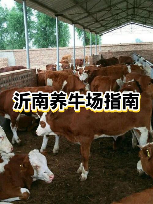 拼多多的养牛的牧场怎么进入