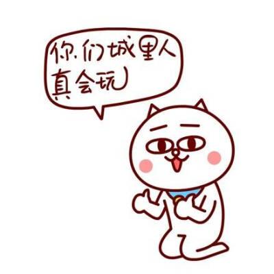 别人说你真会玩是什么意思