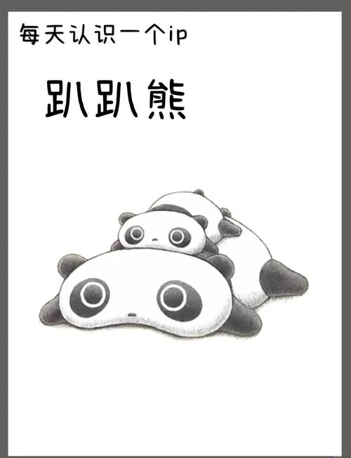 懒熊磁力播