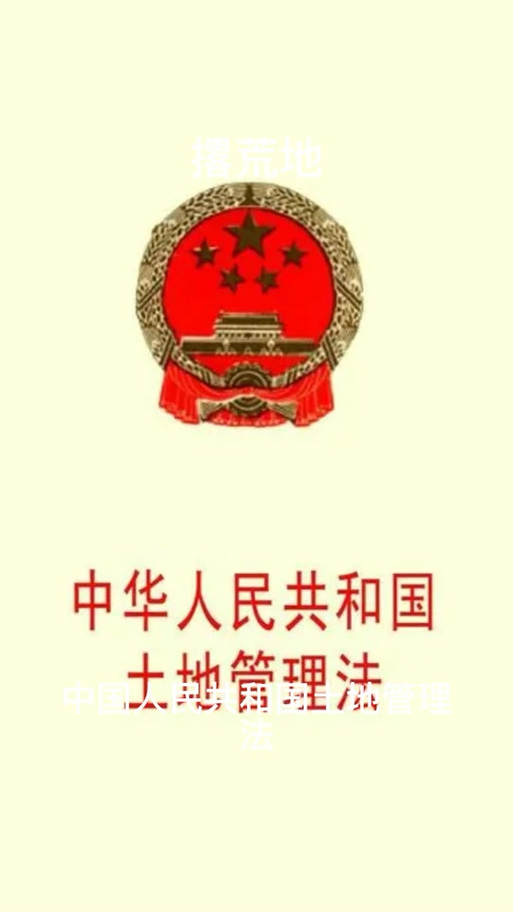 农村开荒地最新政策