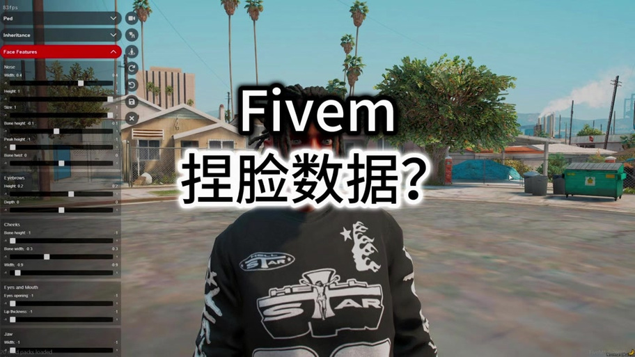 gta5男性角色捏脸数据