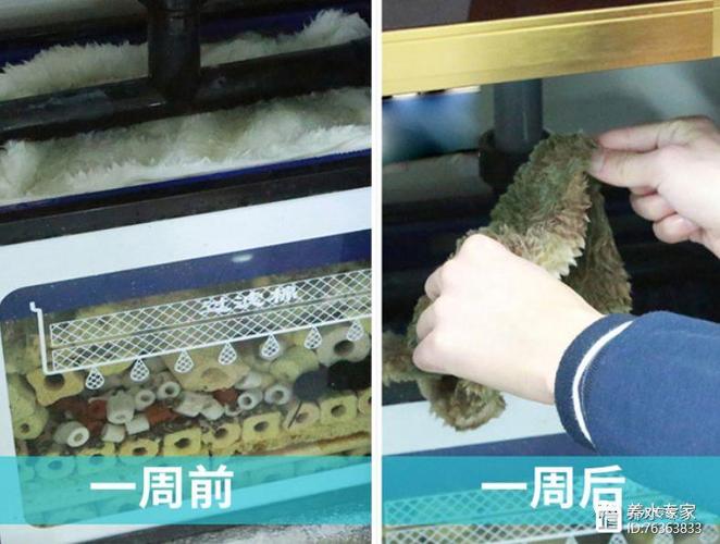 魔毯到底好不好用