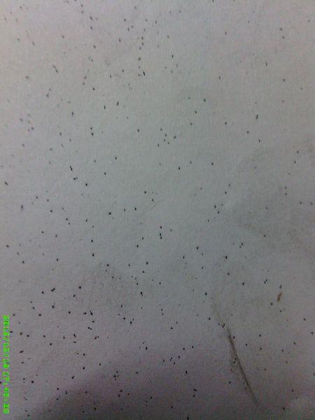 激光打印机打出来有黑点缩略图