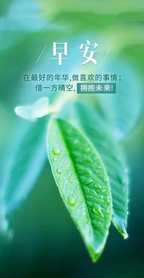 人生心语正能量图标
