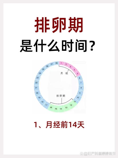 不排卵会来月经吗