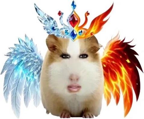 猪妞表情包大全