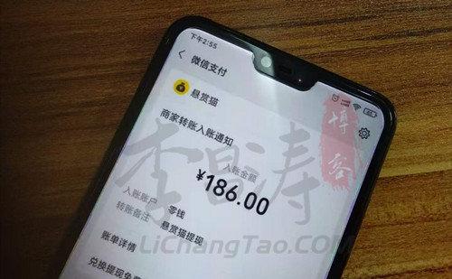 悬赏猫提现图片