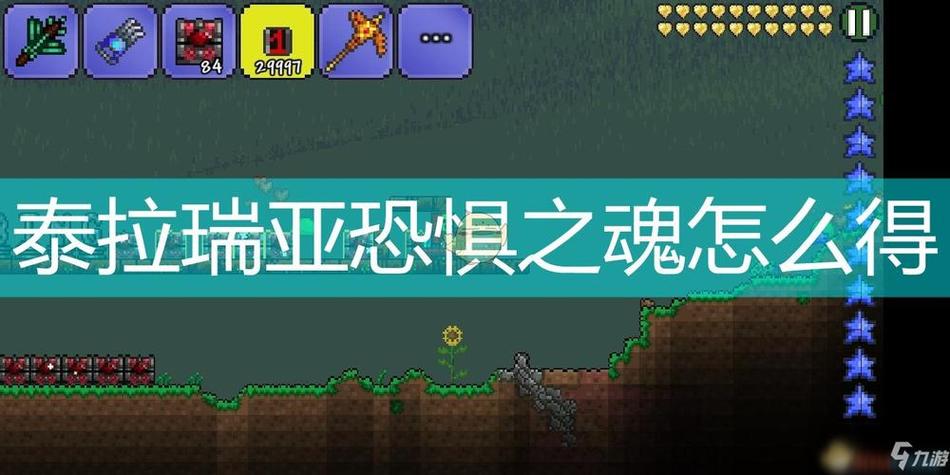 泰拉瑞亚pe枯萎之魂