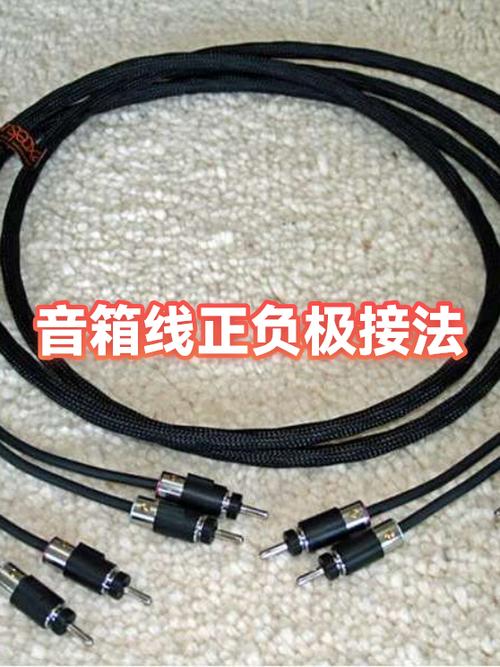 小音箱两根线怎么接