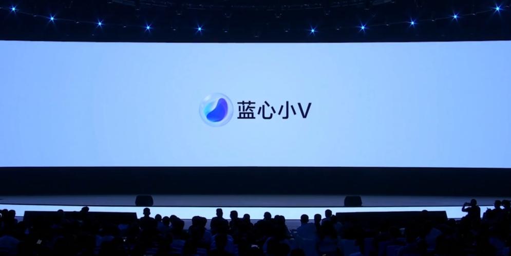 蓝心小v是干什么的