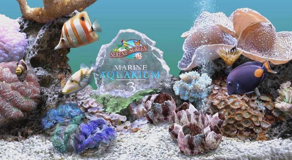 水族箱屏保
