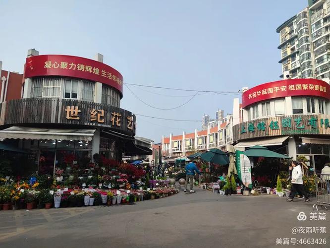 附近花鸟市场图标