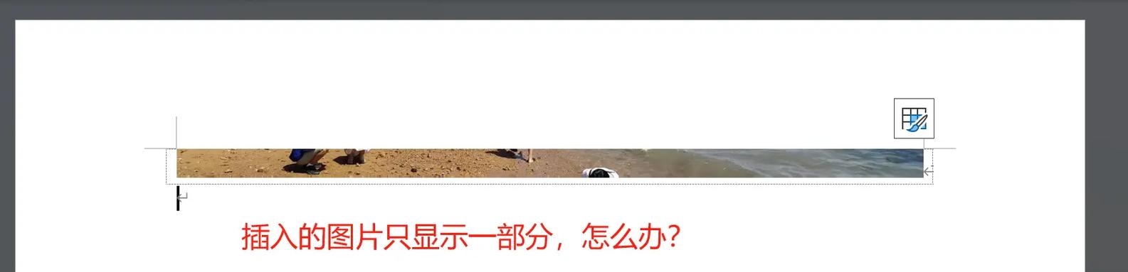 照片插到表格显示不全