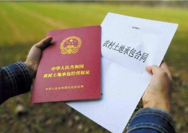 森林土地使用权