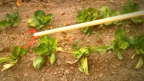 自制除草工具大全