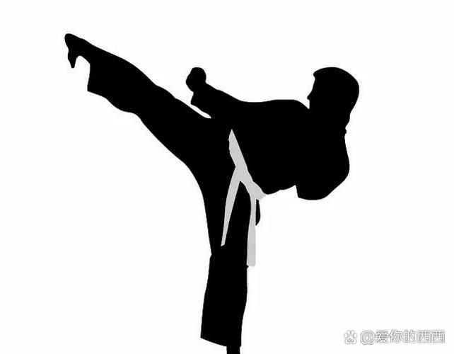 拳比腿重要图标