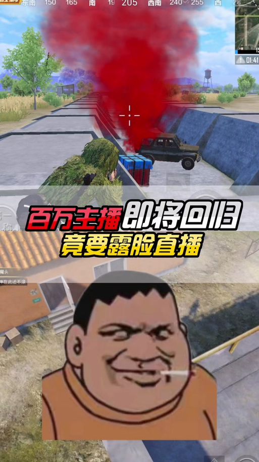 和平精英胖虎缩略图