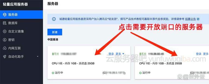 请使用域名访问网站