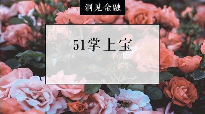 51掌上宝