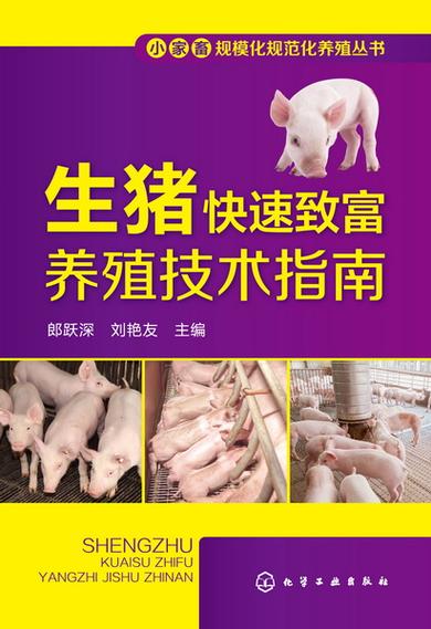怎么赚钱最快又不犯法
