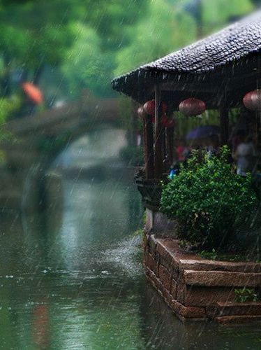 烟雨江南怎么不更新缩略图