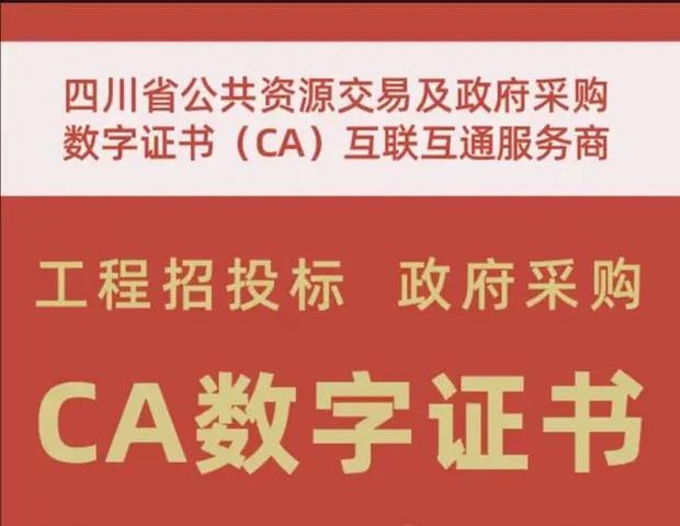 政府采购ca证书在哪里办