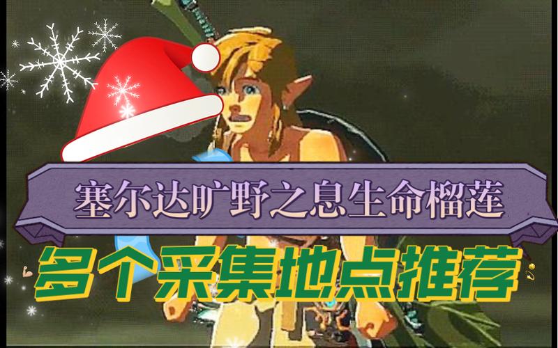 塞尔达传说 生命榴莲缩略图