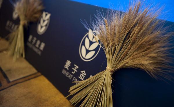 2026年麦子金服最新