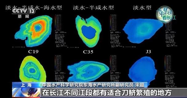 长江禁渔期十年从哪一年开始算起