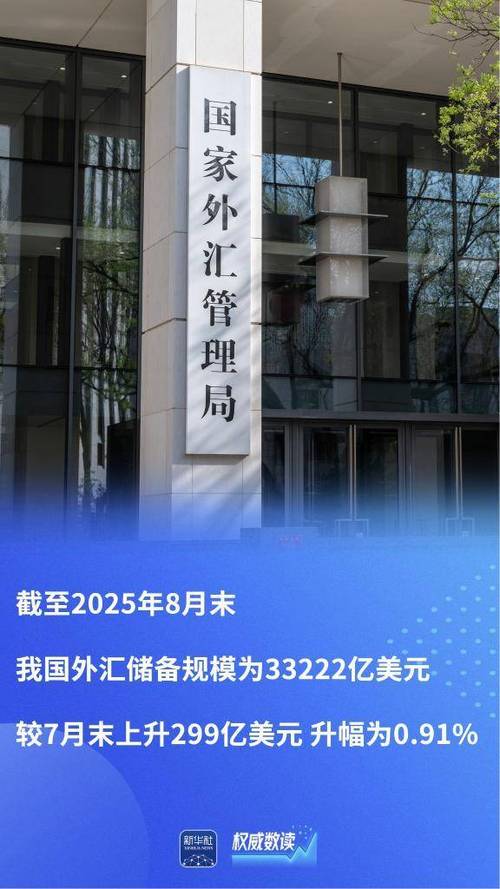 国家外汇管理局数字外管平台中俄罗