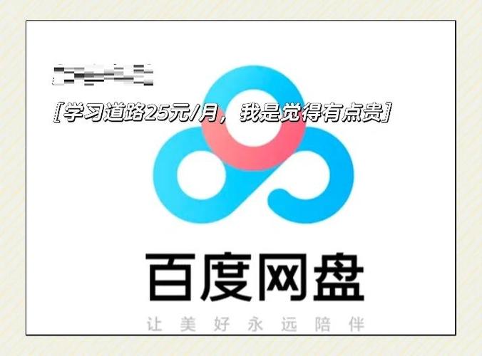 百度网盘会员上传4g以上视频