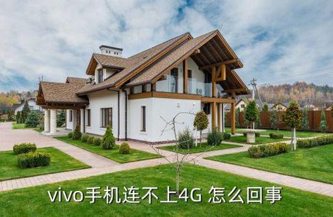 为什么手机vivo突然不出现4g截图