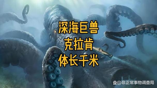 perplexity官网中文版