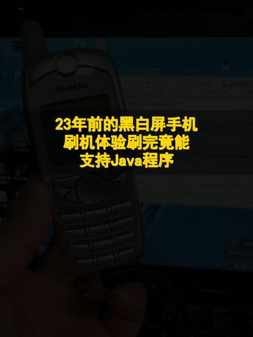 华为手机变黑白屏怎么调