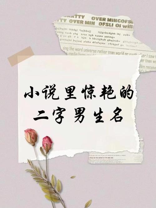 玉米地张大柱和杨桃的小说叫什么名