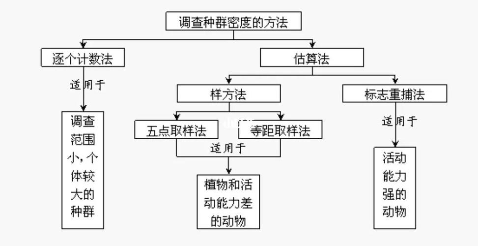调查有哪些方法