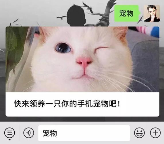 在手机里面养宠物