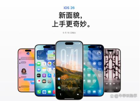 苹果xs振动在哪里设置图标