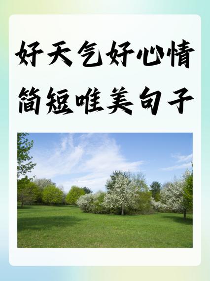 天气真好高级短句