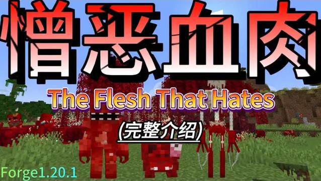 我的世界血肉VS