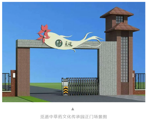 京药采官方APP下载地址缩略图
