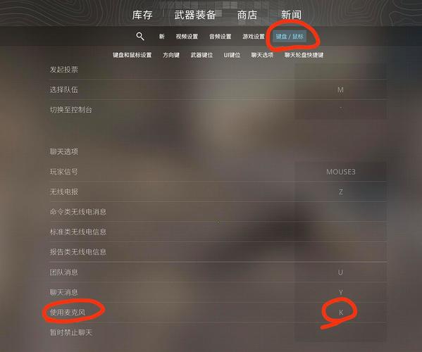 csgo游戏麦克风设置方法截图