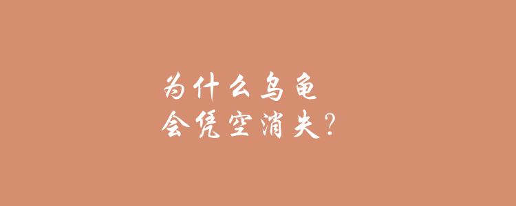 乌龟凭空消失 意味什么