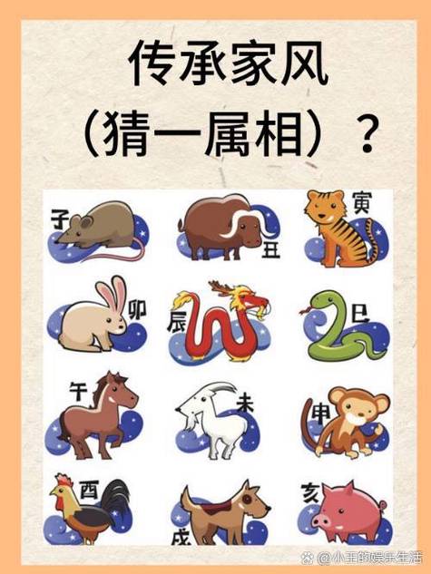 孙字打一最佳生肖